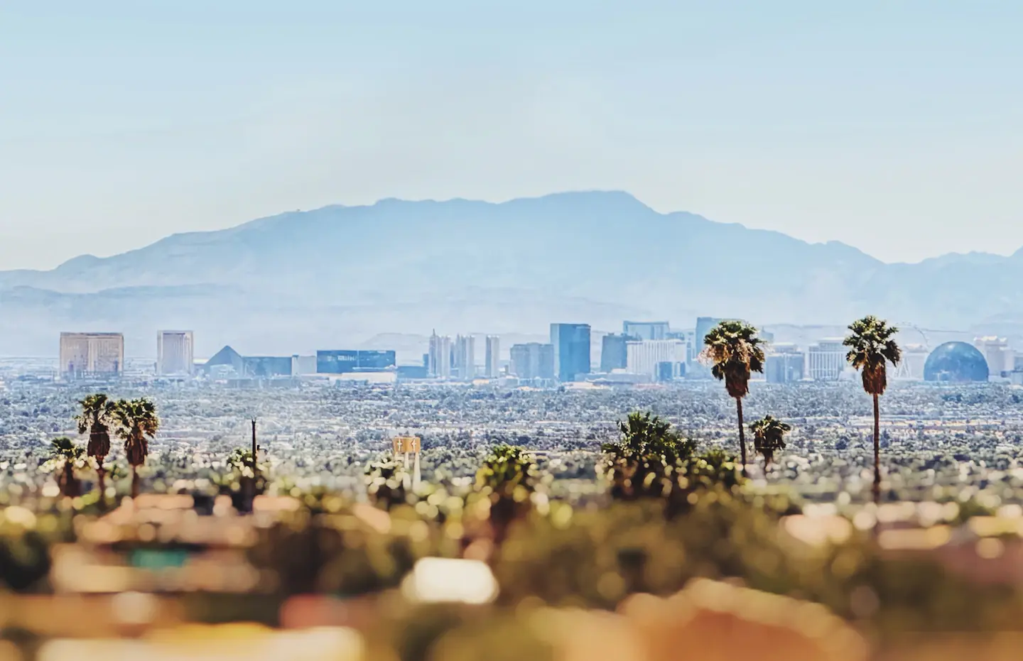 Daytime Las Vegas skyline with palm trees and distant mountains